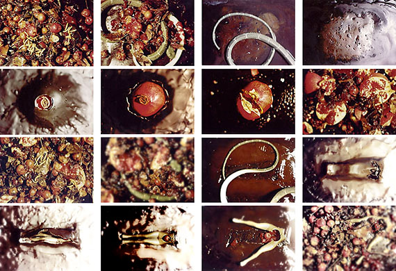 Life Cycle or Forbidden Fruit, 1993