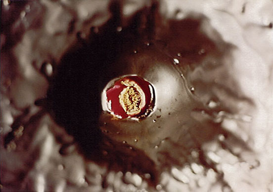 Life Cycle or Forbidden Fruit, 1993