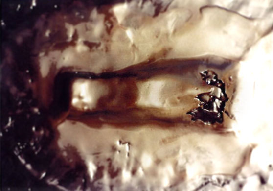 Life Cycle or Forbidden Fruit, 1993