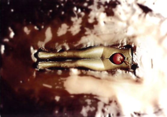 Life Cycle or Forbidden Fruit, 1993