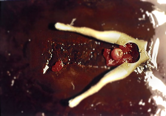 Life Cycle or Forbidden Fruit, 1993