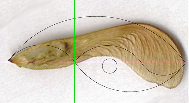 Seed Recursion, 2000