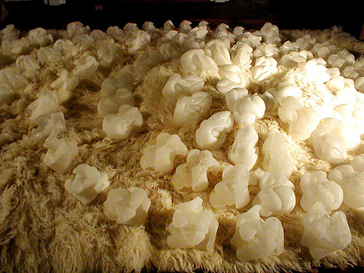 Autochthonous: The Soil's Offspring, 2003