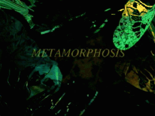 Metamorphosis, 1999