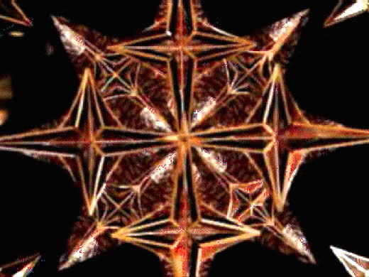 Super Symmetry, 2001