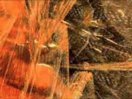 Super Symmetry, 2001