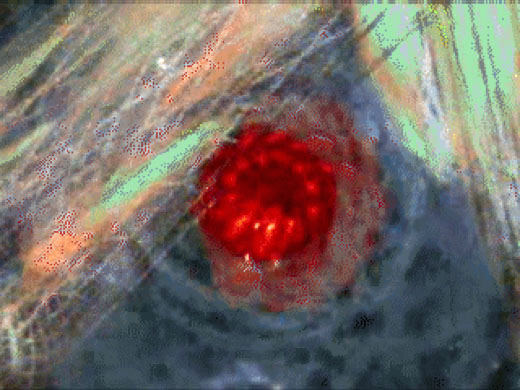 Super Symmetry, 2001