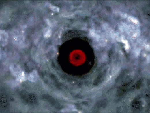 Super Symmetry, 2001