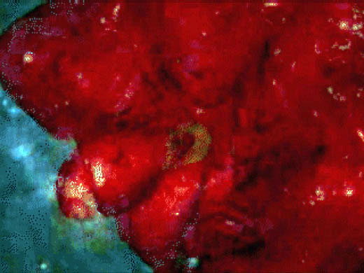 Super Symmetry, 2001