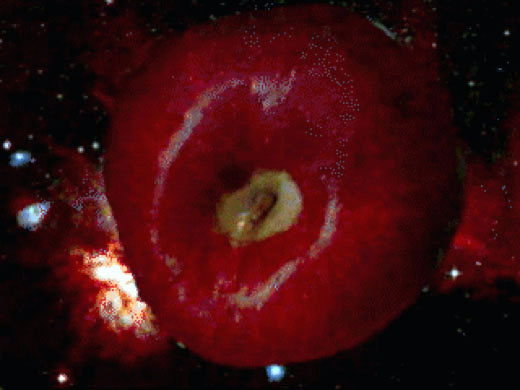 Super Symmetry, 2001